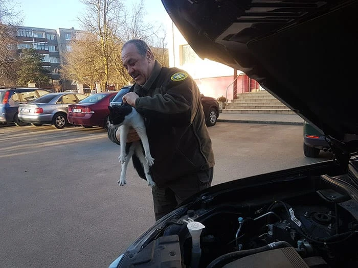 Panevėžio regiono aplinkos apsaugos departamento pareigūnai  gelbėjo po automobilio variklio dangčiu įstrigusį katiną.