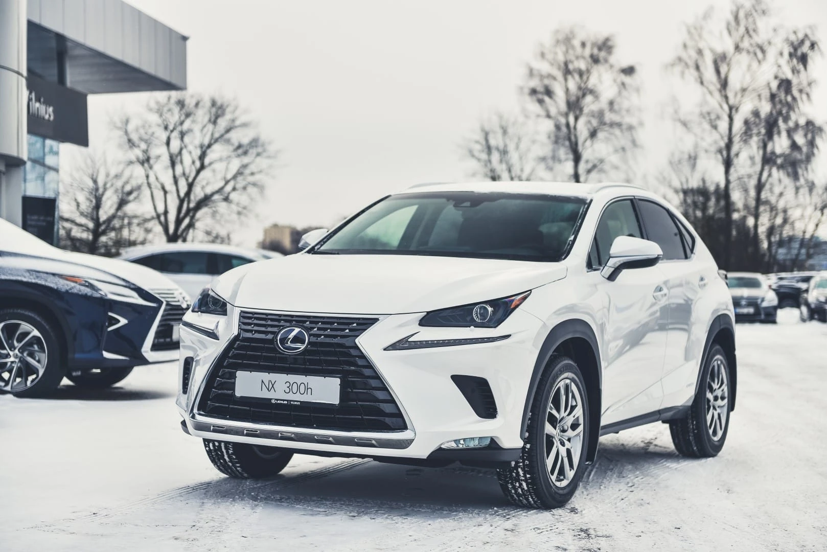 „Auto Bazar 2018“: renginys, kurio automobilių gerbėjui praleisti nevalia
