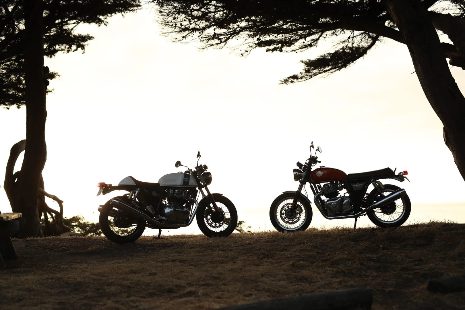 „Royal Enfield“ po 48 metų pertraukos sukūrė dviejų cilindrų motociklą
