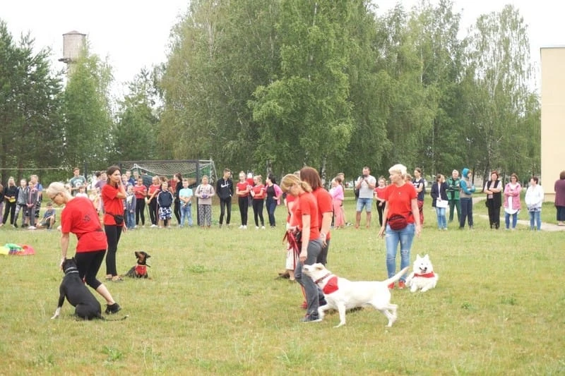 Projektas „Būsiu tavo draugas 2019“