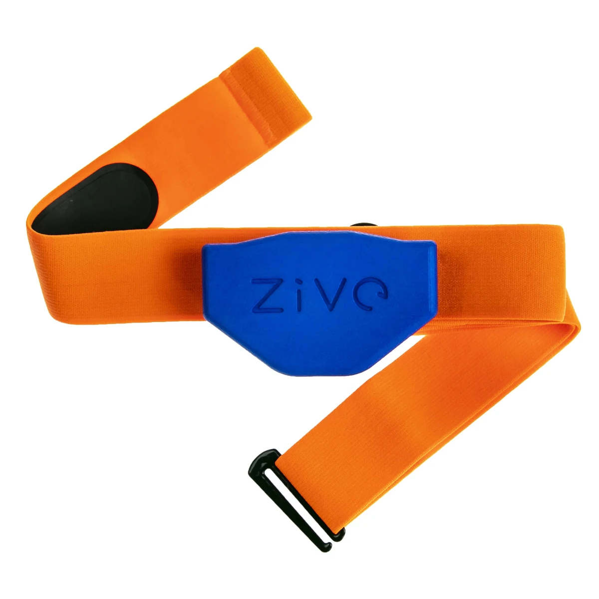 Zive