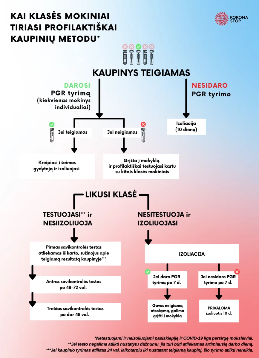 Vos gavus teigiamą savikontrolės testo atsakymą, likusiai klasei taip pat rekomenduojama iš karto atlikti savikontrolės testus