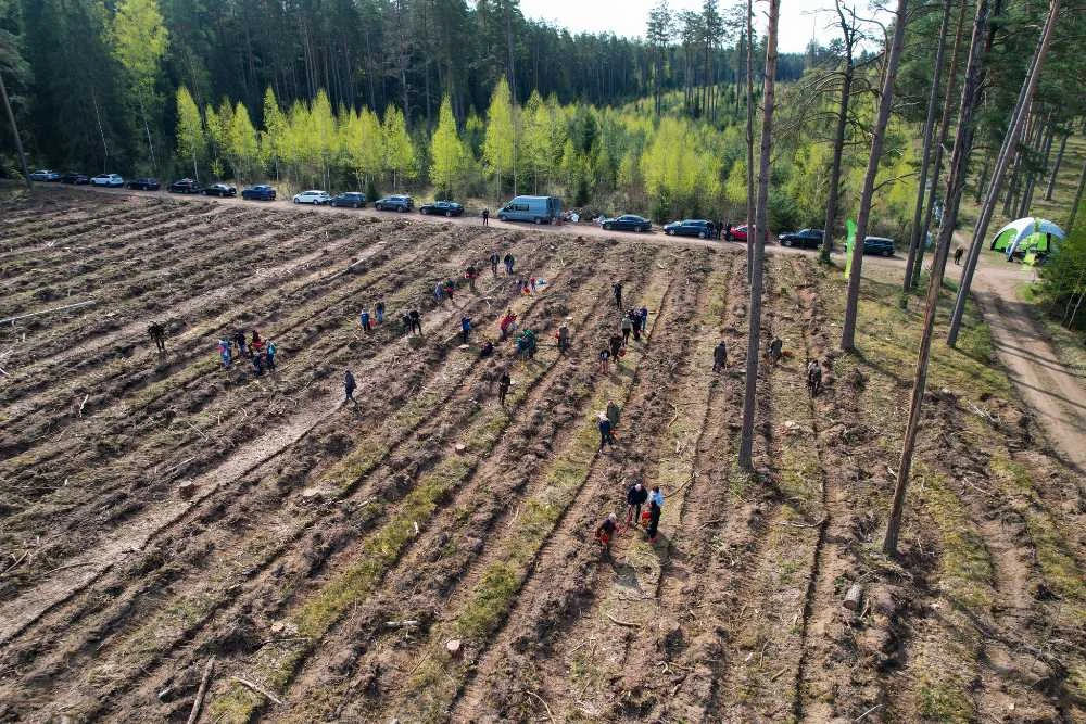 Tūkstančiai Lietuvos moksleivių tradicinius mokyklos suolus iškeitė į „Pamokas miške“ – miškininkai džiaugiasi projekto progresu