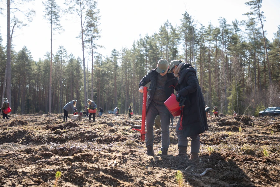 Nacionalinis miškasodis Prezidento Valdo Adamkaus 100-mečiui: kviečiama sodinti ąžuolus visoje Lietuvoje