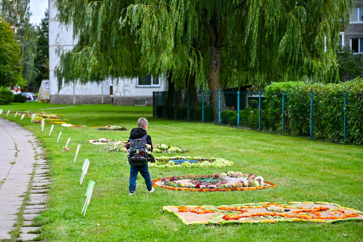 Kniaudiškių gatvėje – pleneras „Gamtos spalvos“